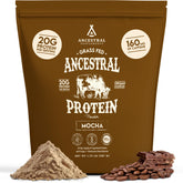 Ancestral Supplements envase frontal mostrando sabor mocha y beneficios