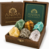 Anima set frontal en caja de madera mostrando presentación premium y protección