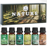 ARVIDSSON vista frontal del estuche con 6 aceites, ideal para regalo