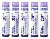 Boiron Arnica Montana tubo frontal mostrando envase compacto y fácil transporte
