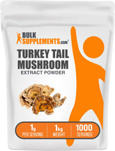 BulkSupplements frente del paquete de Turkey Tail en polvo, presentación clara y a granel