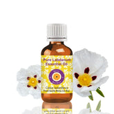 dève herbes frasco ámbar 30ml preserva la potencia aromática