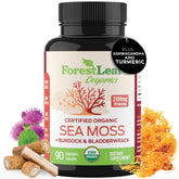 ForestLeaf envase frontal mostrando sea moss orgánico y beneficio nutricional
