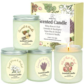 Generic set frontal en empaque elegante para regalo, aspecto atractivo