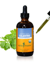 Herb Pharm botella frontal del extracto de cilantro mostrando tamaño y etiqueta clara