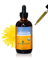 Herb Pharm frasco frontal de extracto de diente de león, identificable y profesional
