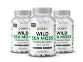 Organics Ocean frasco frontal mostrando diseño y aporte mineral