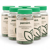 parmint envase frontal mostrando diseño y conveniencia para frescura interna