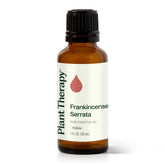 Plant Therapy frasco frontal de Frankincense Serrata mostrando tamaño y pureza