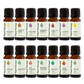 Plant Therapy vista frontal del set de 14 botellas, variedad y conveniencia