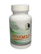 REDUCMOLD vista frontal mostrando realce abdominal y acabado discreto