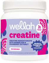 Wellah creatine imagen frontal del envase con información clara y atractivo visual