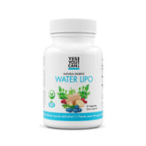 Yes You Can! frasco Water Lipo vista frontal mostrando diseño y 21 cápsulas
