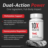 10X Health detalle del polvo de betaine mostrando textura pura