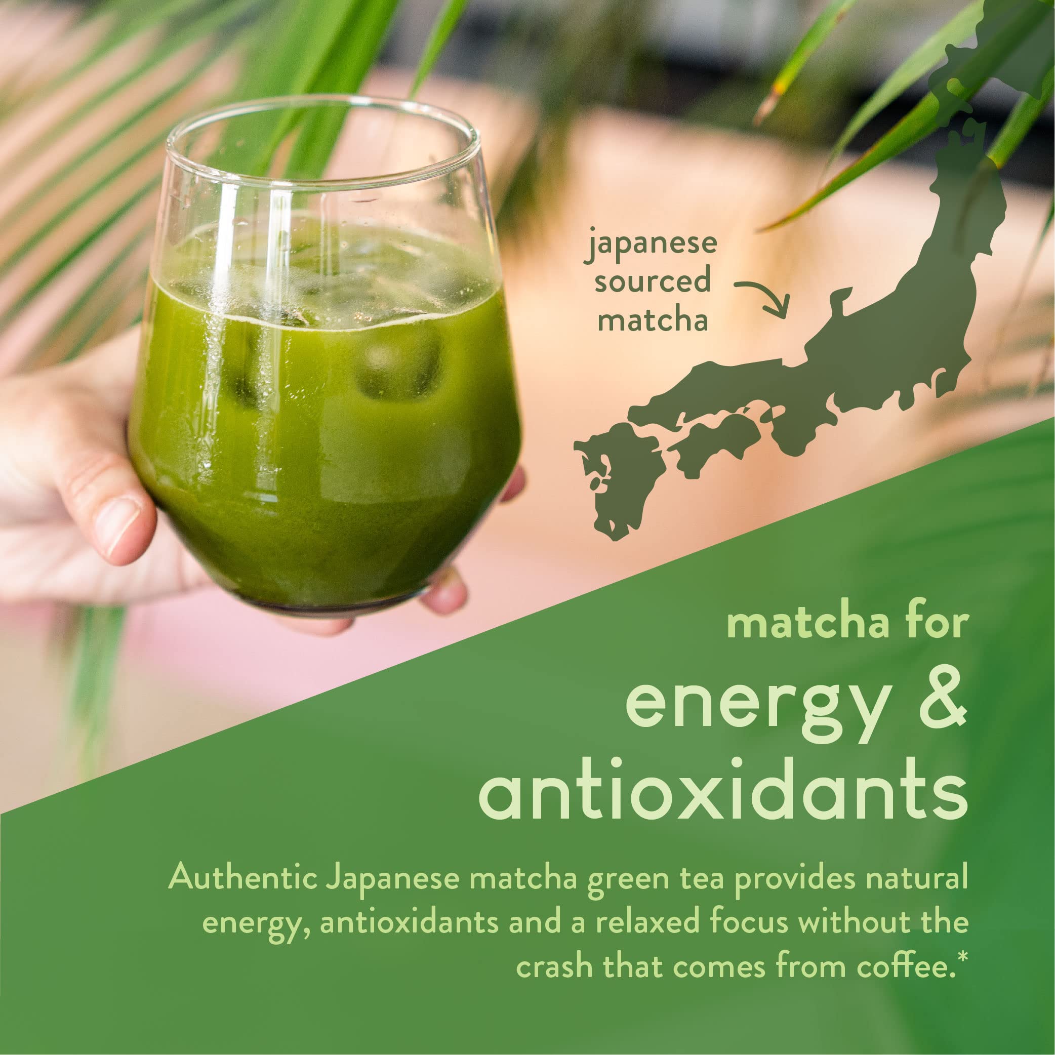 360 Nutrition latte de matcha preparado, sabor suave y opción para bebidas calientes