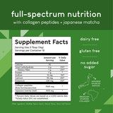 360 Nutrition textura del polvo verde fino, fácil disolución y mezcla rápida