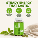 4 Your Wellness gomitas en la mano para dosificación rápida y portátil