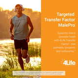 4Life MalePro ingredientes clave licopeno y saw palmetto enfatizando soporte