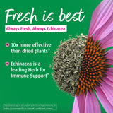 A.Vogel primer plano de tabletas para ver su textura y facilidad