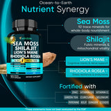 Adndale etiqueta con lista de ingredientes y beneficios visibles