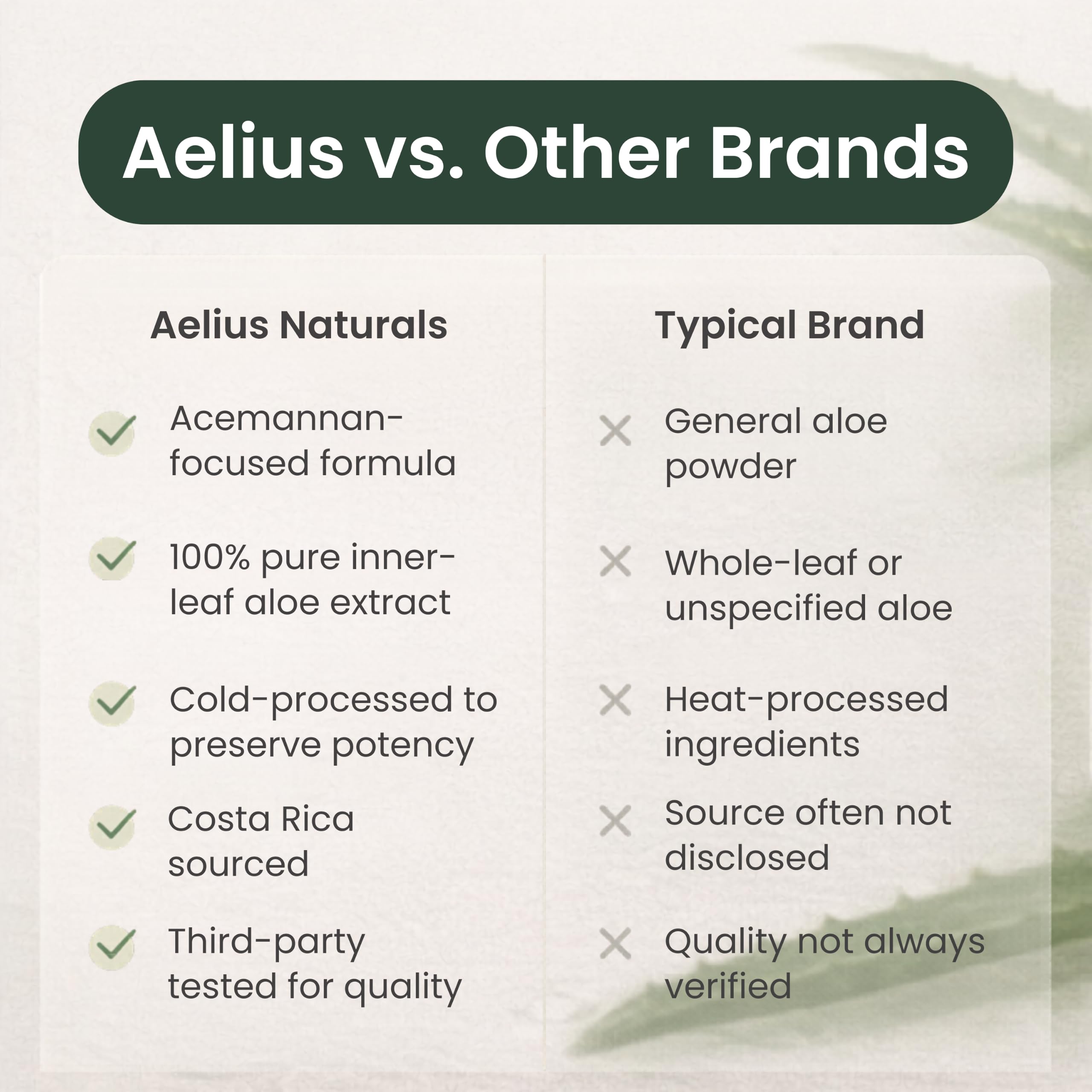 Aelius Naturals plantación de aloe en Costa Rica, origen rastreable y natural