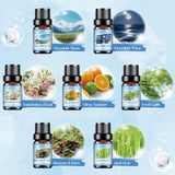 Aeshory botellas dispuestas mostrando variedad de aromas y combinaciones