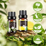 Aeshory detalle de botellas de 5 ml, organización y control de dosis