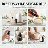Aeshory etiqueta con sello orgánico certificando calidad natural