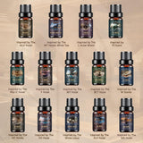 Aeshory gota de aceite mostrando textura y pureza