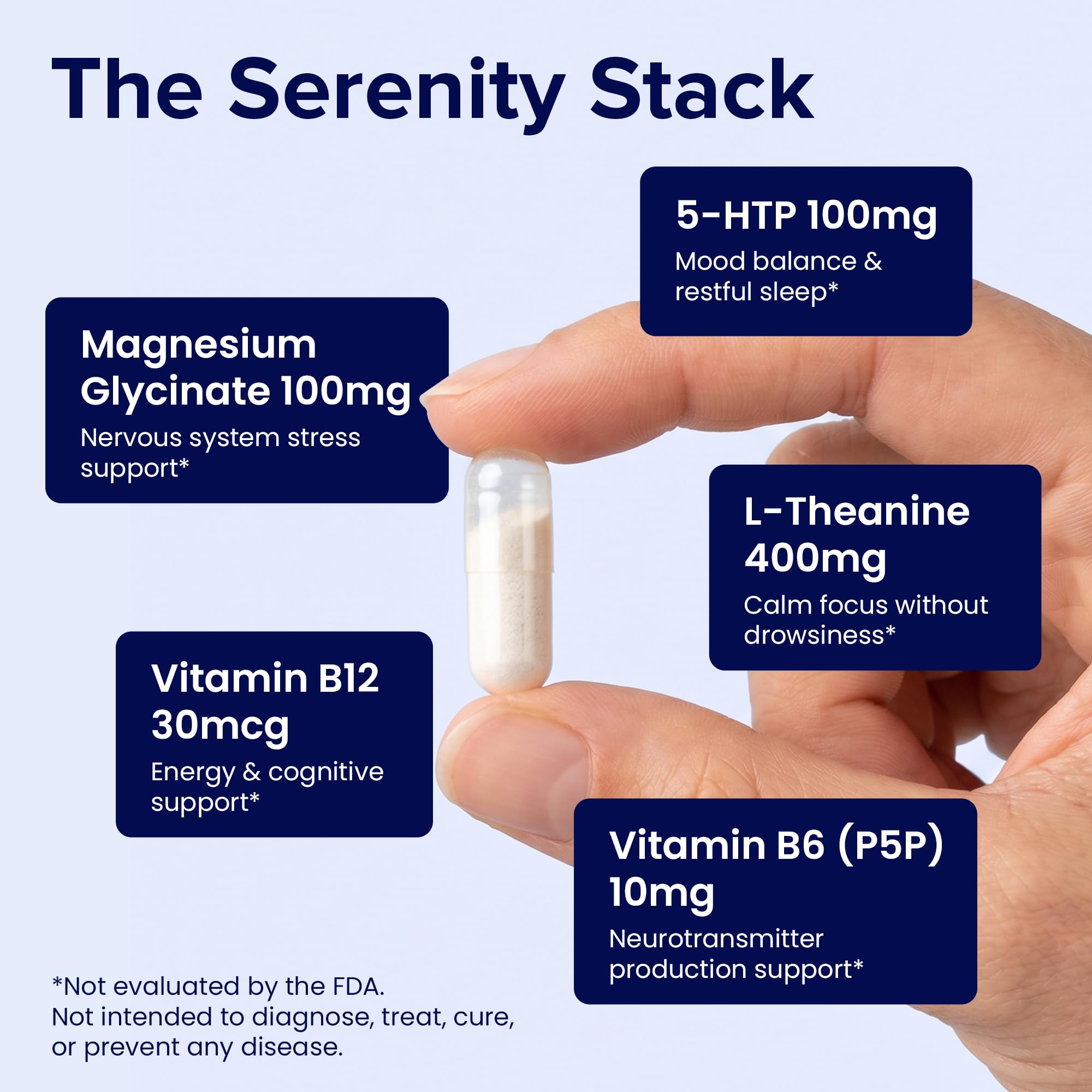 AgeImmune ingredientes principales: L-Theanine y 5-HTP para apoyo