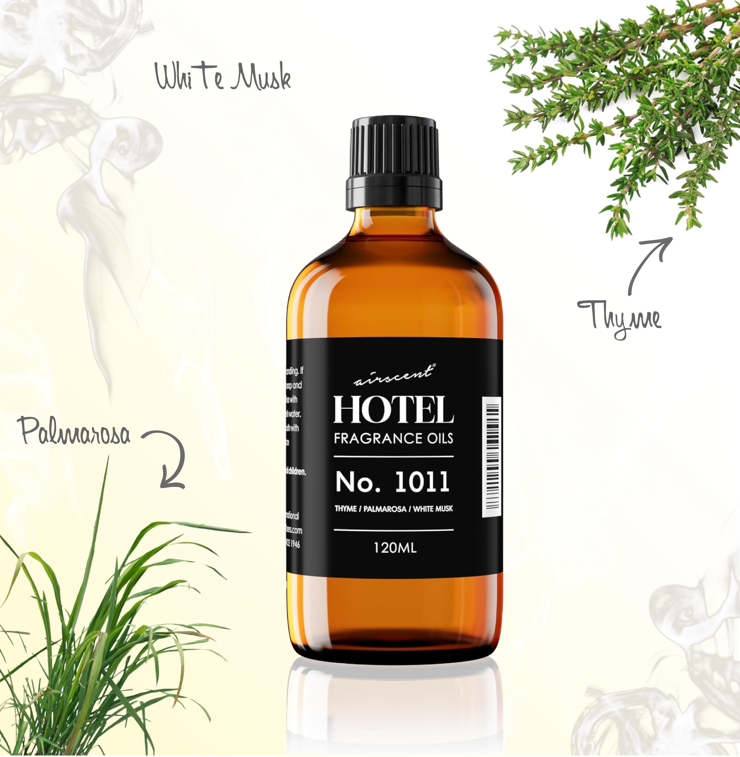 Air-Scent comparación de tamaño 120 mL en mano para referencia práctica