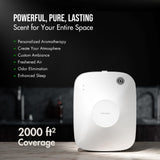 Airversa frascos de fragancia 100ml primer plano destacando recarga fácil