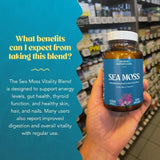 Akasha Sea Moss polvo en cucharita que muestra calidad y textura fina