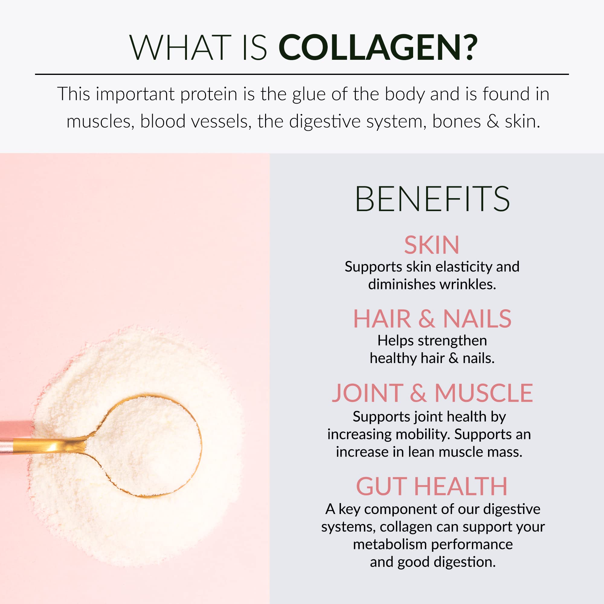 Alaya Naturals etiqueta con lista de ingredientes y tipos de colágeno, transparencia informativa
