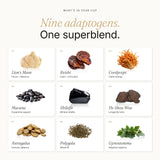 alcami elements detalle del etiquetado con ingredientes y concentración 10:1