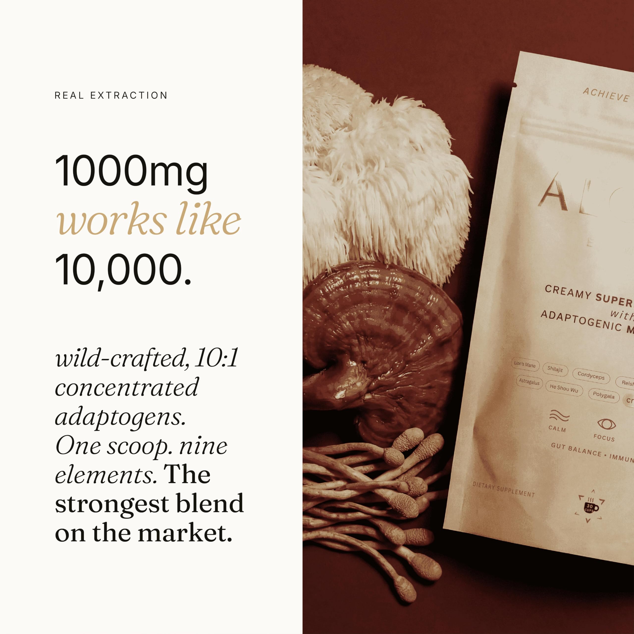 alcami elements bebida en taza cremosa lista para beber y disfrutar