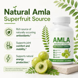 Alevia Organic polvo de amla en cuchara destacando su pureza orgánica