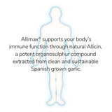 Allimax ajo español fresco representando origen sostenible y calidad