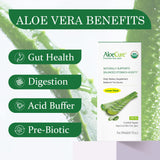 AloeCure textura del gel interior en primer plano, evidencia de pureza natural