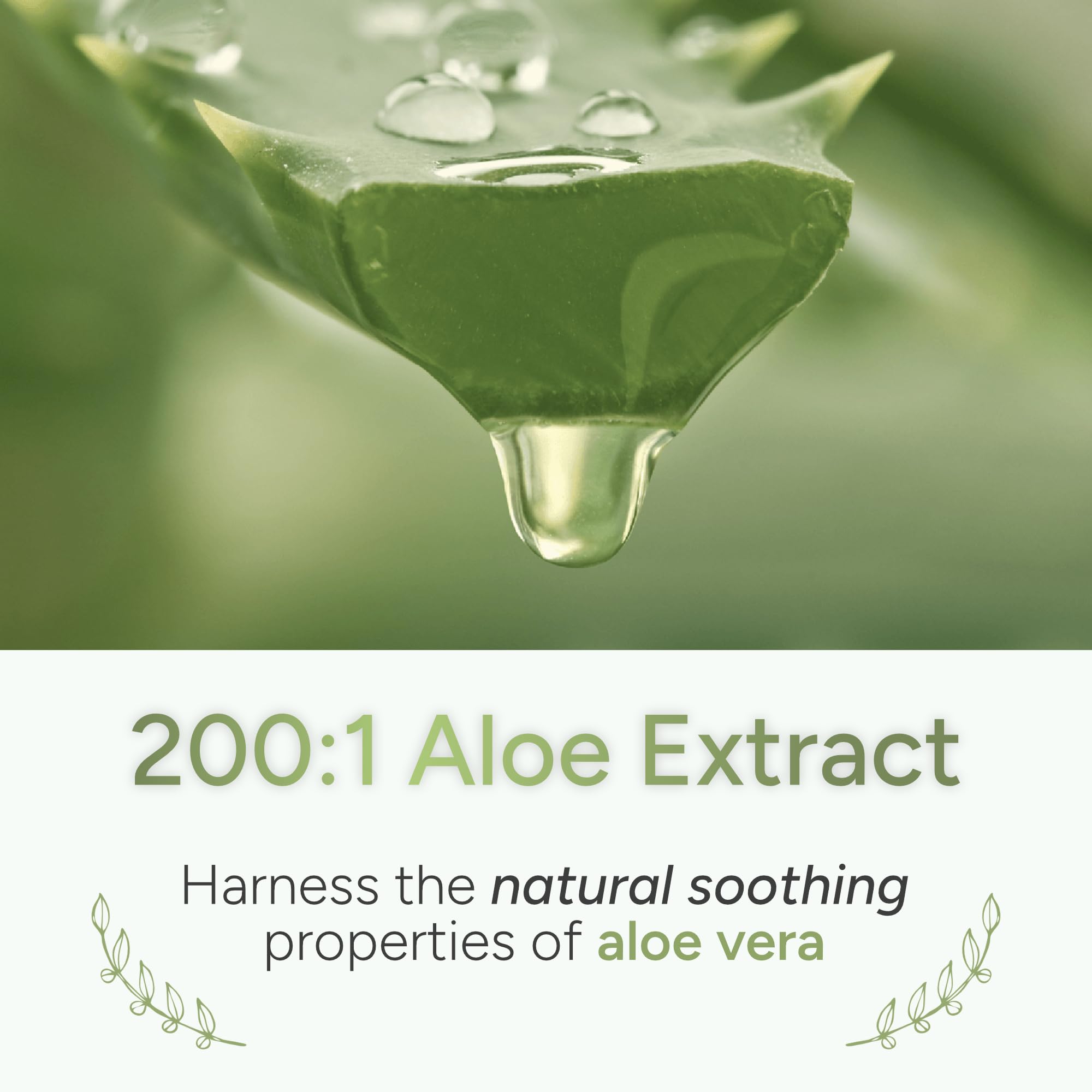 ALOEPATH ingredientes clave apilados mostrando aloe y quercetina potentes