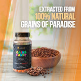 ALPHA LION cápsulas junto a Grains of Paradise, origen natural claro