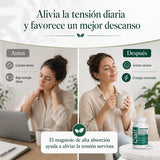 alzclipp Clair escena nocturna sugeriendo relajación y apoyo al descanso