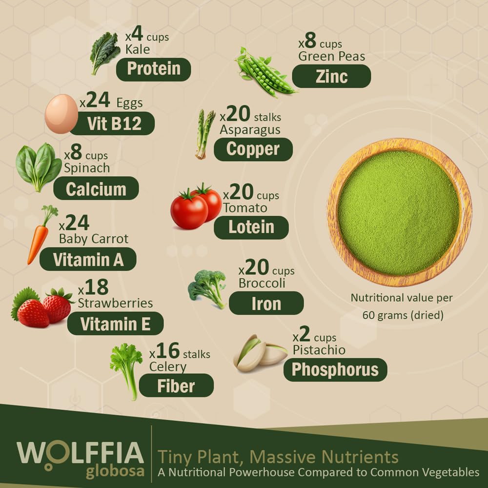 AMA GROW textura en polvo de Wolffia, visual de molienda fina y fácil mezcla