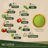 AMA GROW textura en polvo de Wolffia, visual de molienda fina y fácil mezcla
