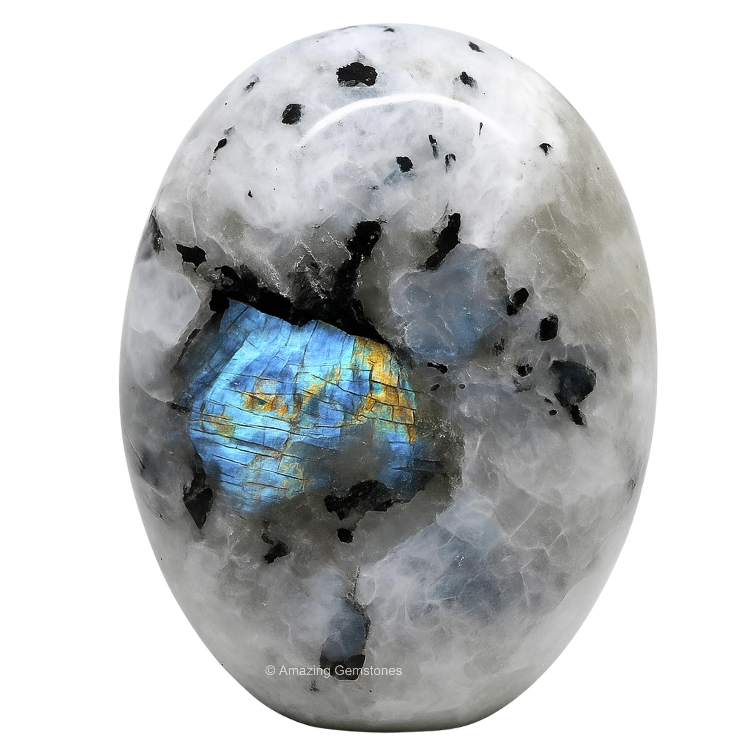 Amazing Gemstone piedra de palma frontal mostrando forma y acabado suave