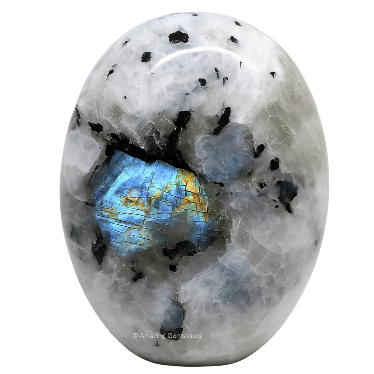 Amazing Gemstone piedra de palma frontal mostrando forma y acabado suave