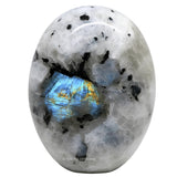 Amazing Gemstone piedra de palma frontal mostrando forma y acabado suave