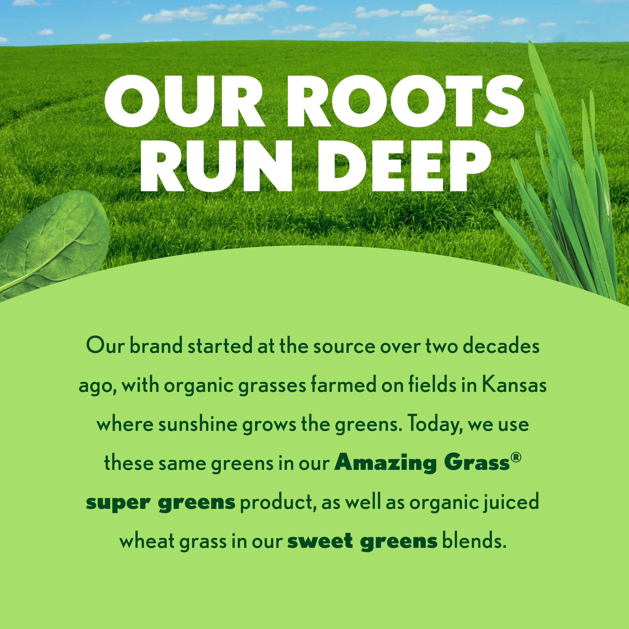 Amazing Grass close-up de spirulina y remolacha como ingredientes naturales