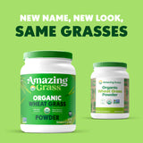Amazing Grass textura del polvo de hoja completa, aporta fibra vegetal