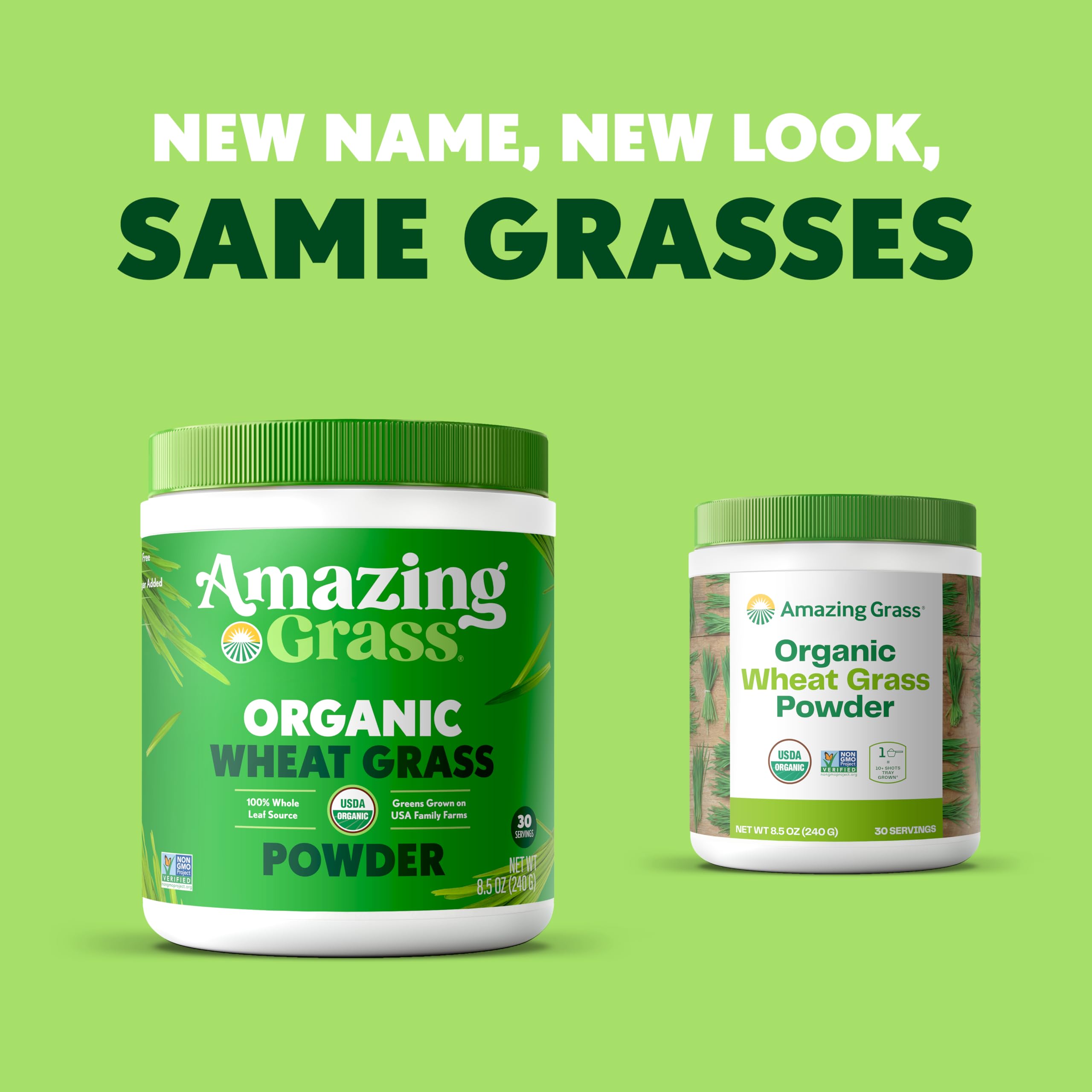 Amazing Grass polvo textura en primer plano, muestra fibra y color natural